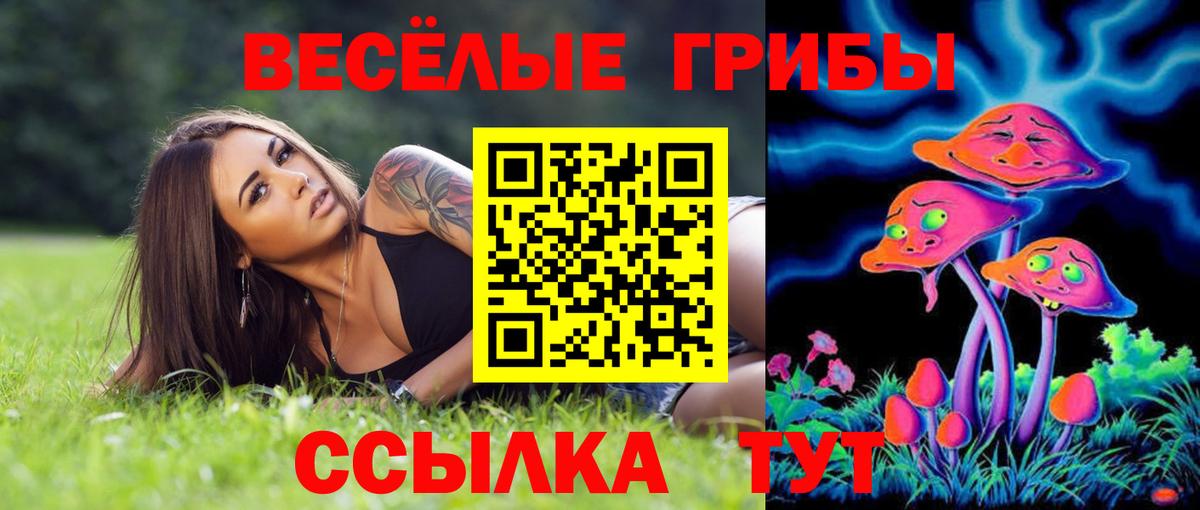 Батайск  Галлюциногенные грибы MAGIC MUSHROOMS  Вход с VPN  Галлюциногенные грибы GOLDEN TEACHER 
